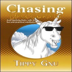 Chasing Unicorns Chasing Unicorns